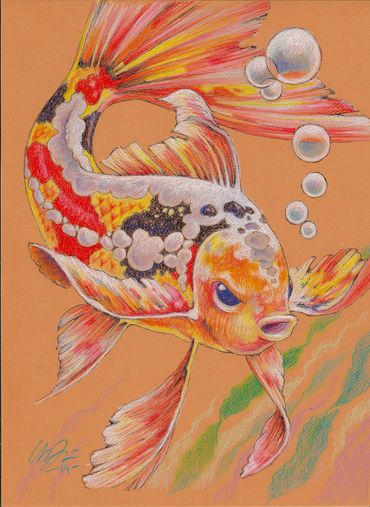 Beautiful, multicolored Koi on the move, fluid and graceful in an eternal dance