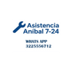 AsistenciaAníbal 7-24.com
