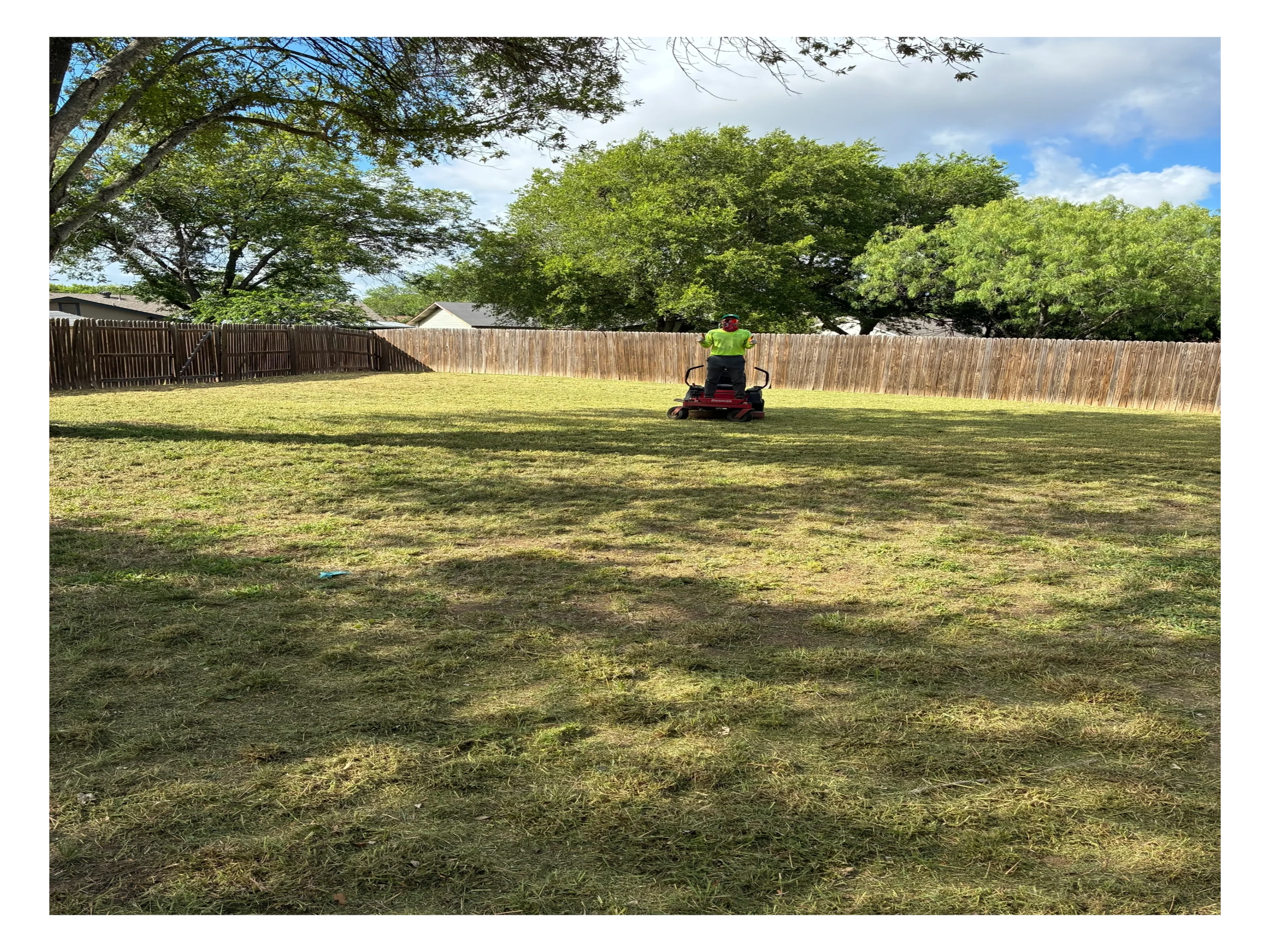Person mowing a large backyard lawn on a sunny day.