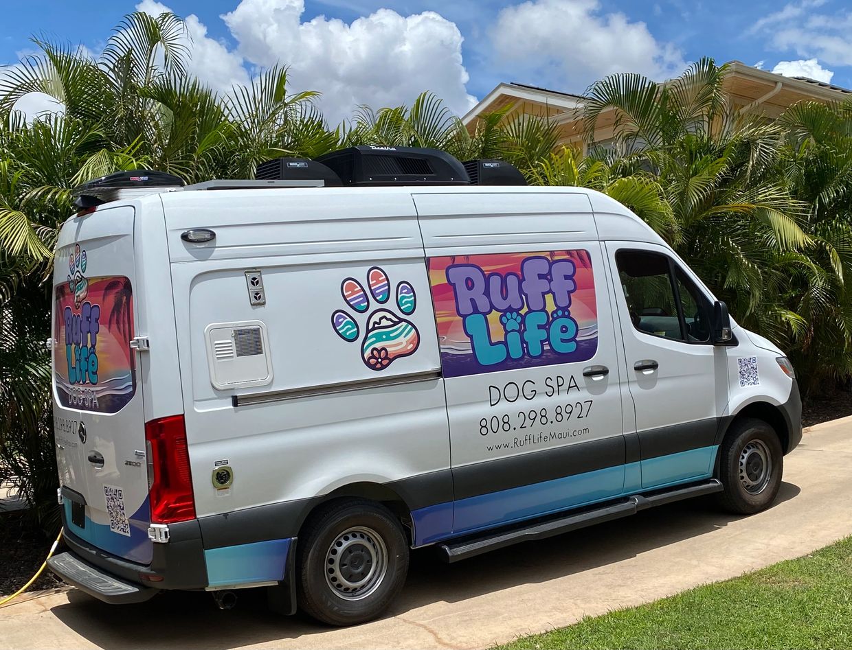 Maui dog groomer
dog gooming maui
dog gooming near me 
dog groomer near me
mobile dog grooming maui