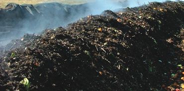 compost becoming soil