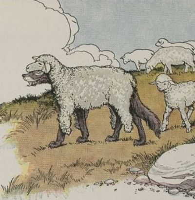 image7