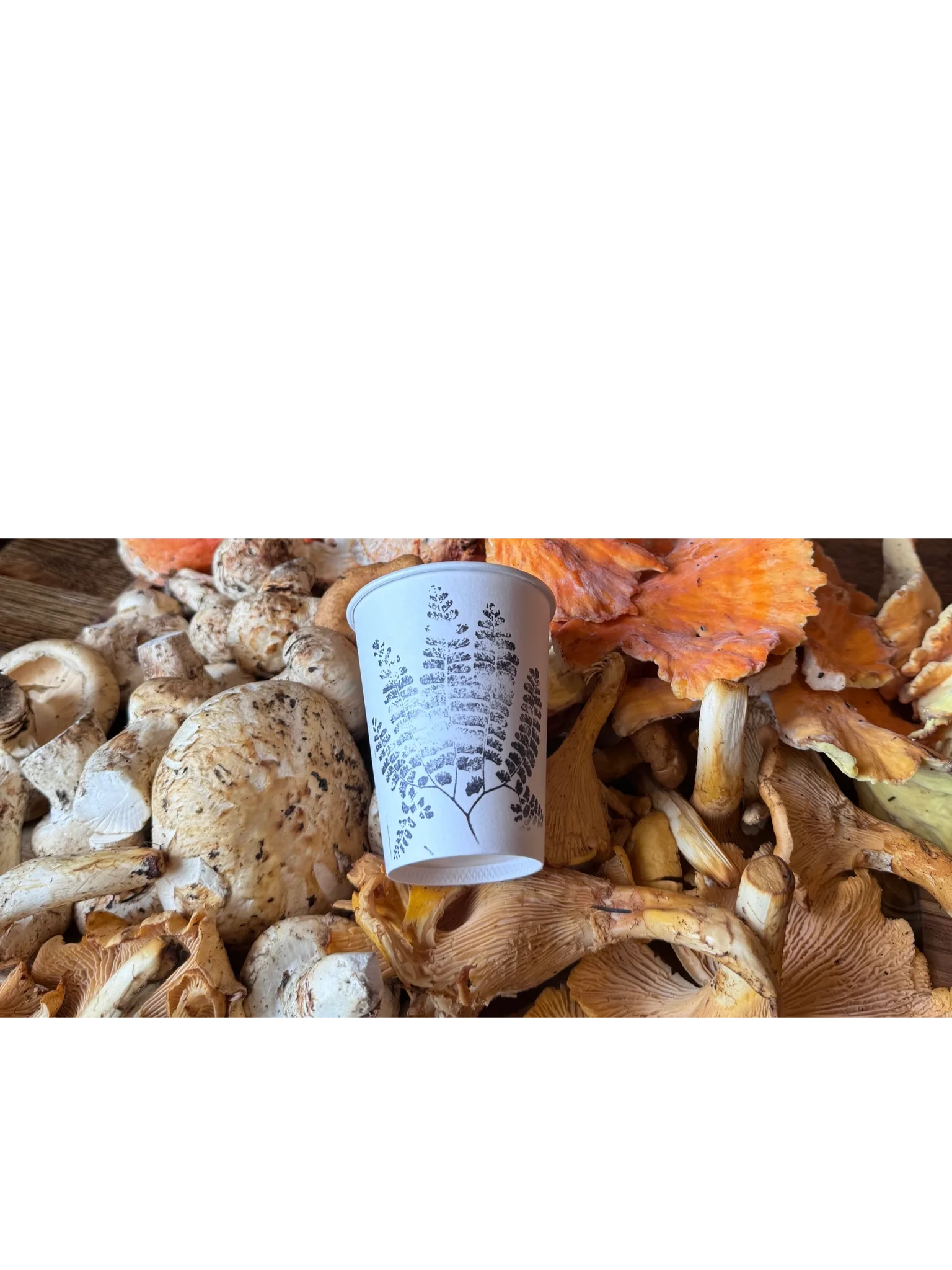 LOAM Kitchen in Carlton, Oregon