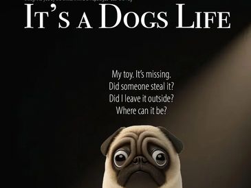 Dog Escape Rooms , Escape rooms Near me, Escape Rooms Jupiter Florida, Family Friendly Escape game