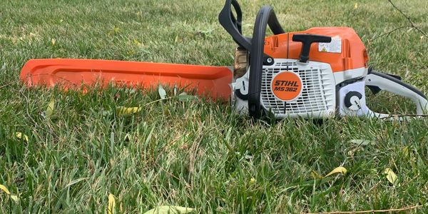 Professional tree service