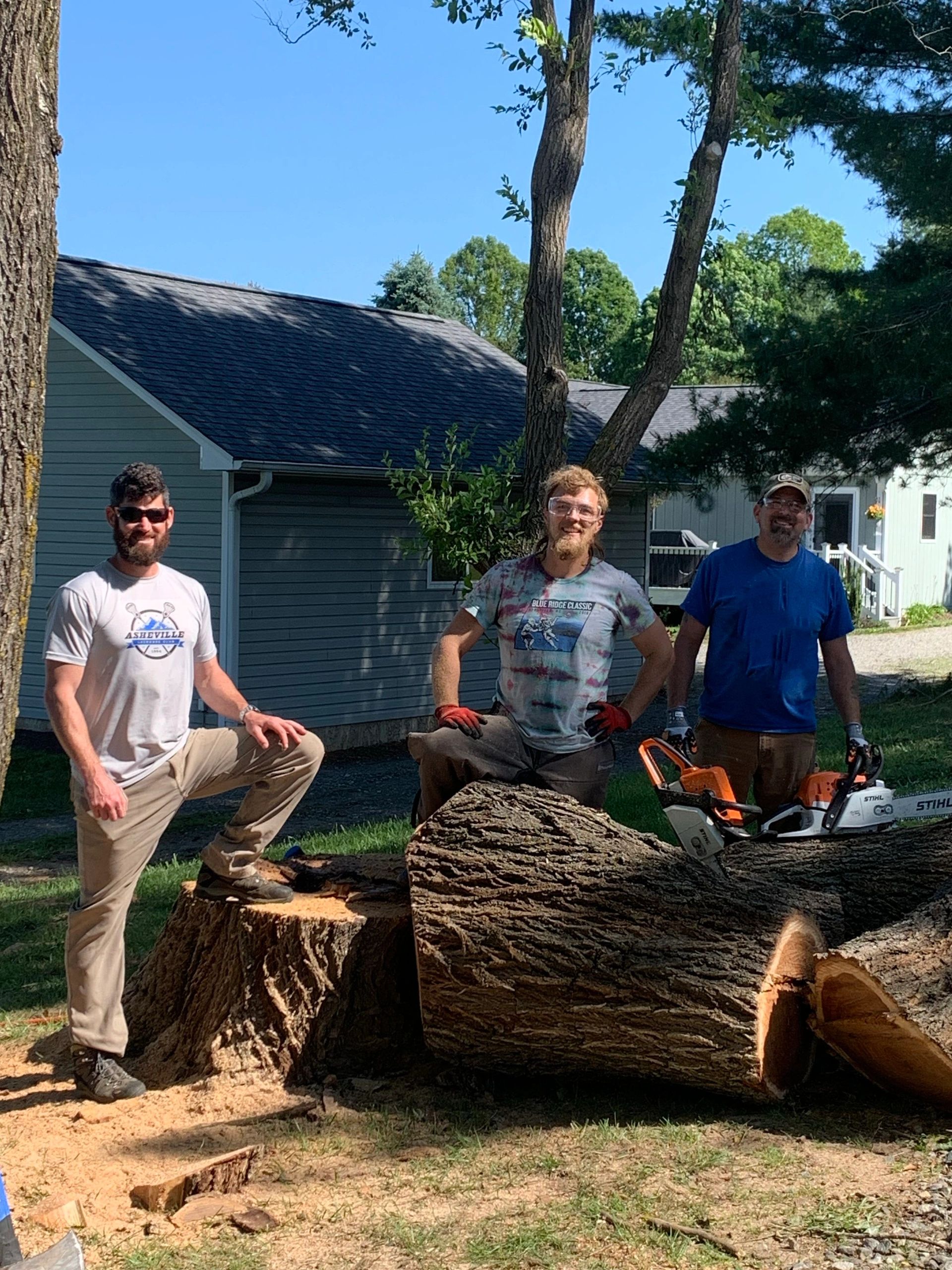 Professional Tree Service | French Broad Arborists