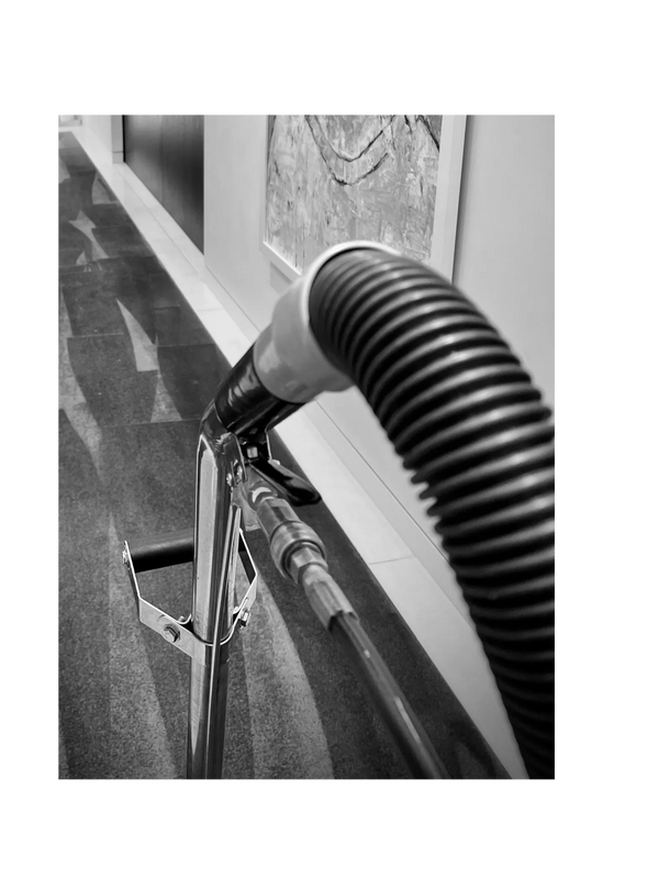 Carpets Paradise Carpet Cleaning Fulham, Professional Carpet Cleaning