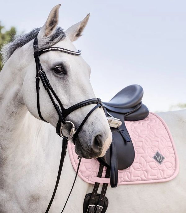 Waldhausen Marseille Saddle Pad Dressage - Image 8