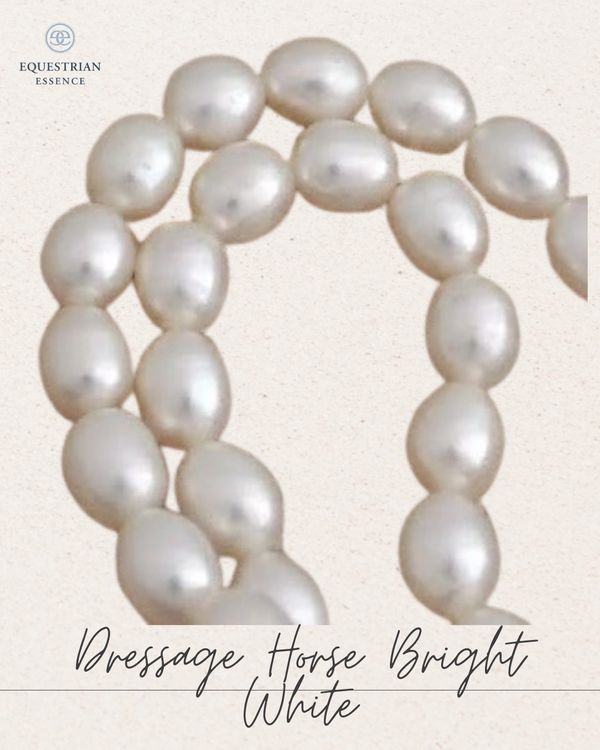 Dressage Horse Bright White Copper Medallion Necklace