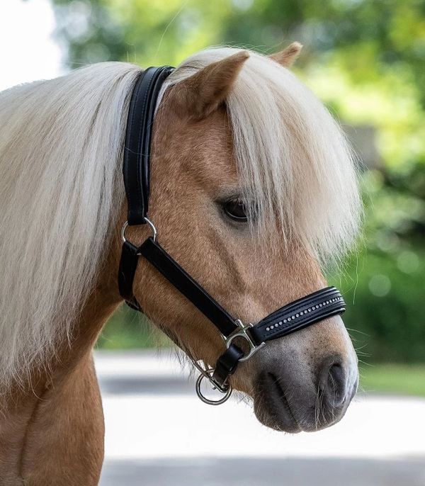Waldhausen STAR Leather halter Diamond - Full - Image 3