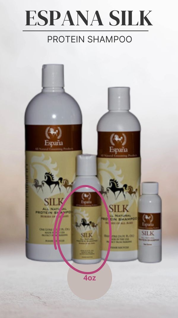 Espana Natural Silk Protein Conditioner Size: 4.23 oz