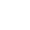 Alerce Capital
