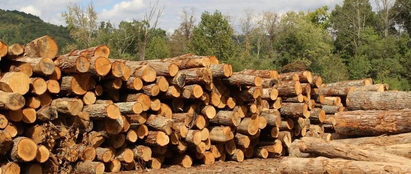 Stephens Hardwood | Scott County, TN Chamber of Commerce