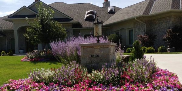 Spring flowers