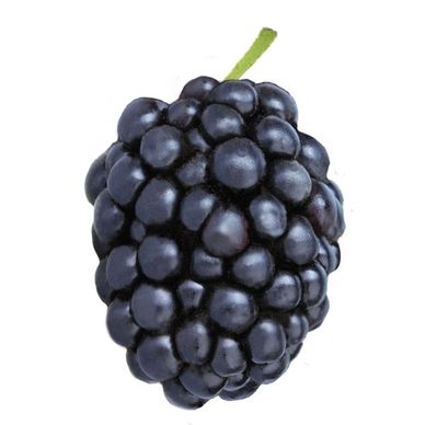 A Blackberry