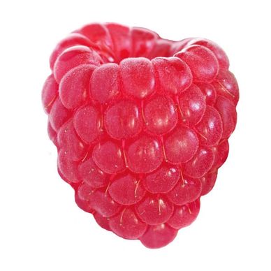 A Red Raspberry