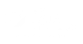 ERP Data Systems