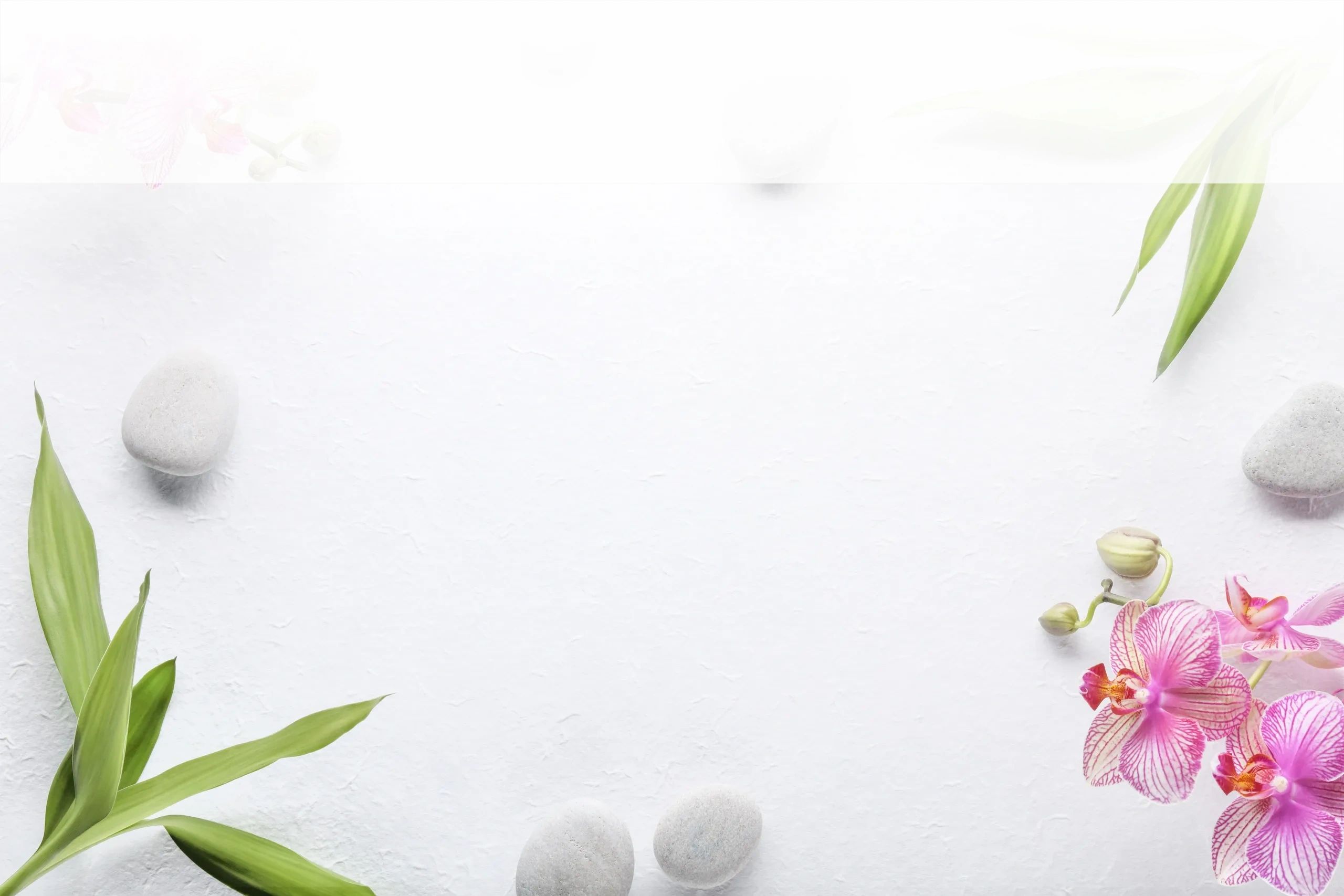 Clean, professional medical spa treatment room with neutral tones at Sublime Spa Treatments in Bonita Springs