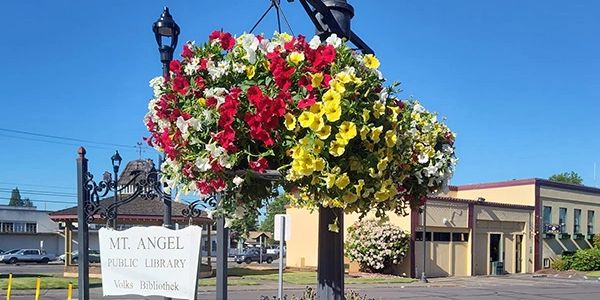 Colorful hanging flower baskets outside Mt. Angel Public Library.