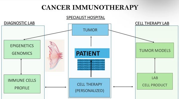 Diagram illustrating cancer immunotherapy workflow between diagnostic and cell therapy labs.