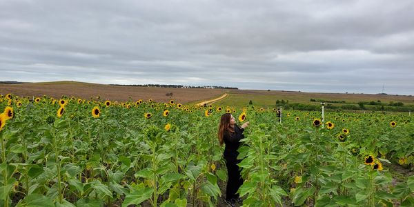A woman stands in a vast field of sunflowers under a cloudy sky.