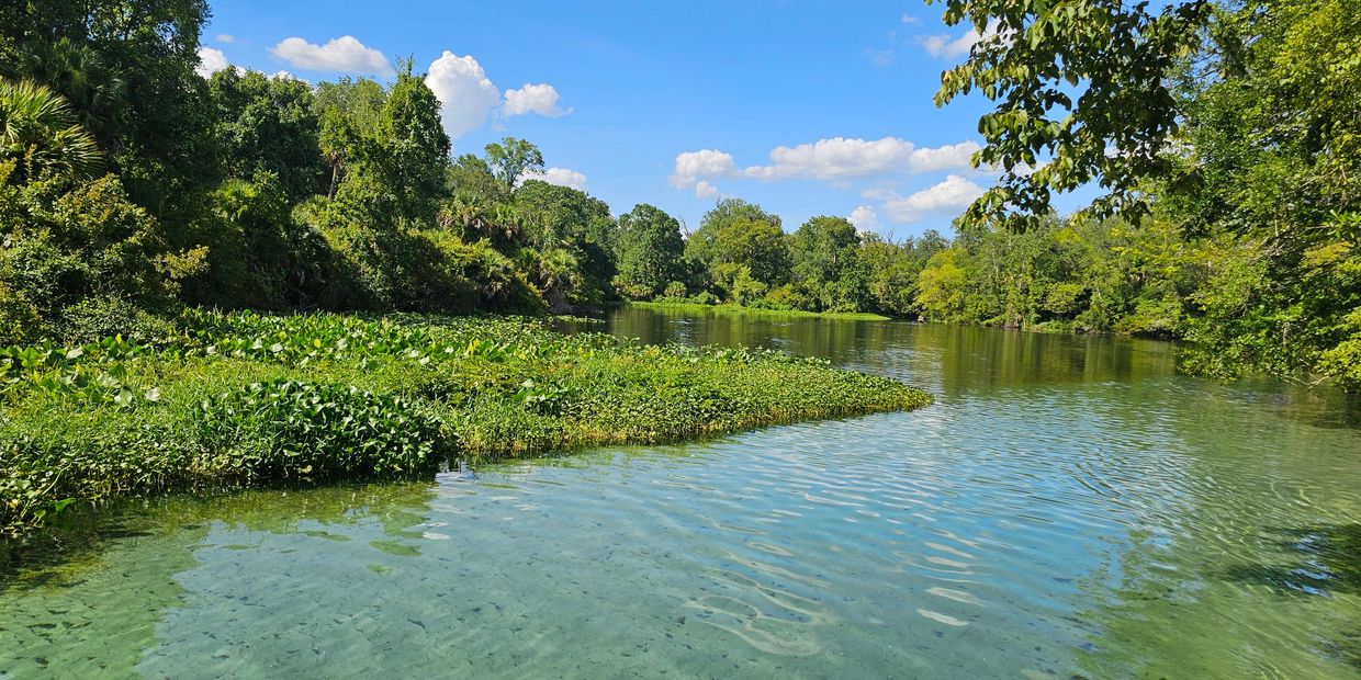 Clear river with lush green vegetation under a bright blue sky.