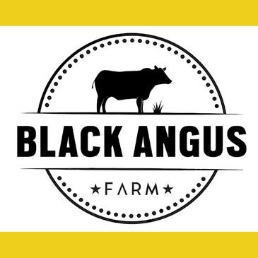 Black Angus Farm