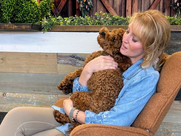 A woman in a denim jacket cuddles a curly brown dog in a cozy chair.