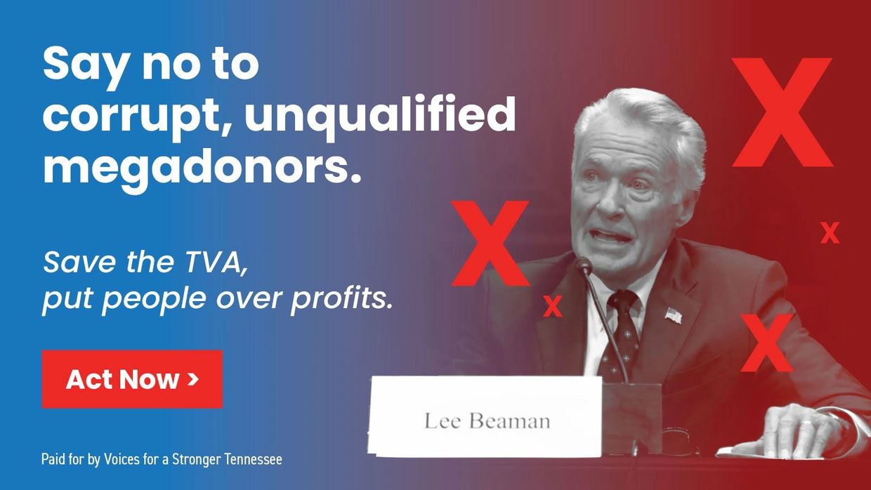 Protect the TVA from mega donors like Lee Beaman