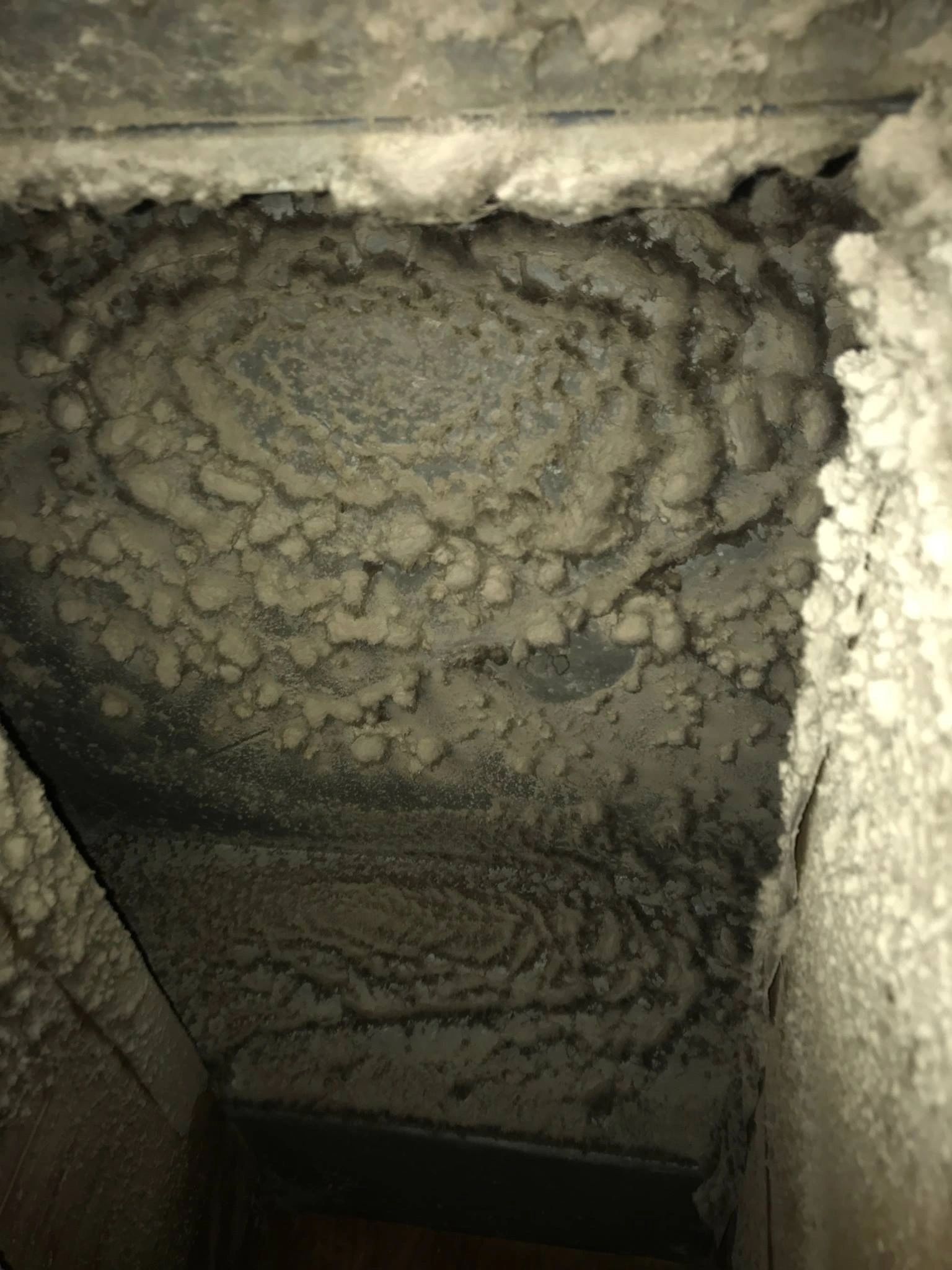 //img1.wsimg.com/isteam/ip/73e7b312-ed4d-40ec-b3d3-6981db1d550b/27356177_339773363172203_7431822934250741076_o.jpg/:/cr=t:0%25,l:0%25,w:100%25,h:100%25/rs=w:1300,h:800