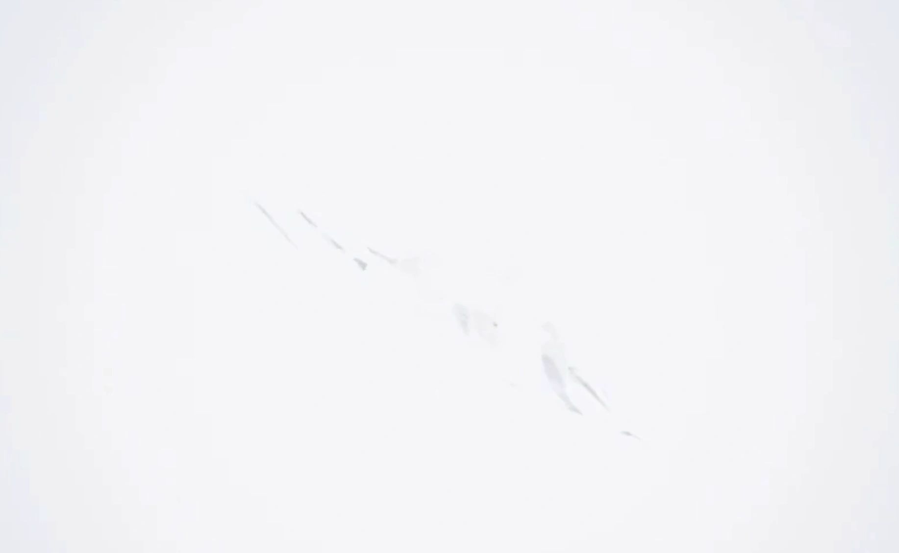 https://img1.wsimg.com/isteam/ip/73e9f635-d4e8-43bd-8201-fc21198805a5/thumbnails/thumbnail-37e92631-0b69-425c-a9f0-edb6a6dae59b.png