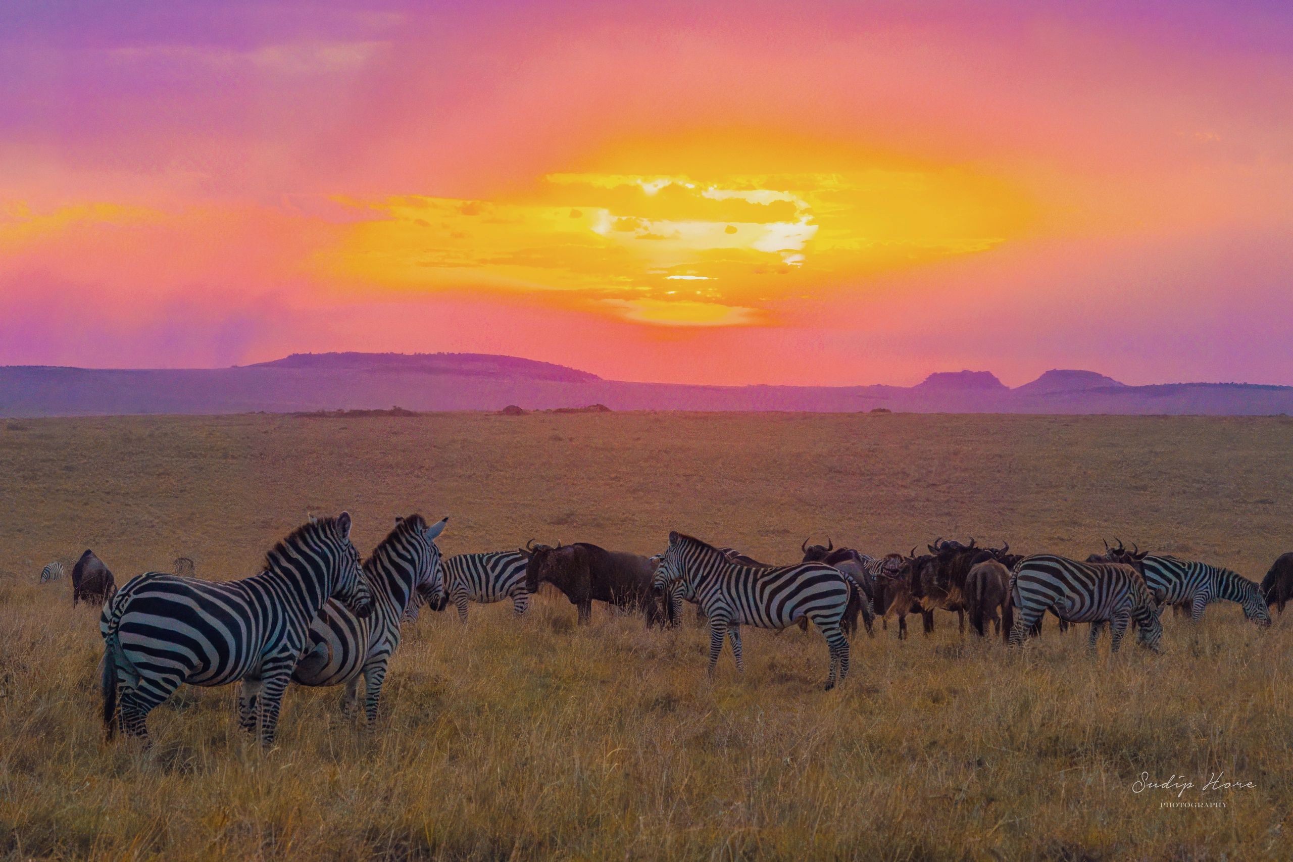 Sunset in the savannah
Masai Mara National Reserve, Kenya