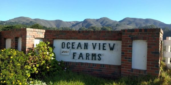 Horse boarding at Ocean View Farms, Montara, CA