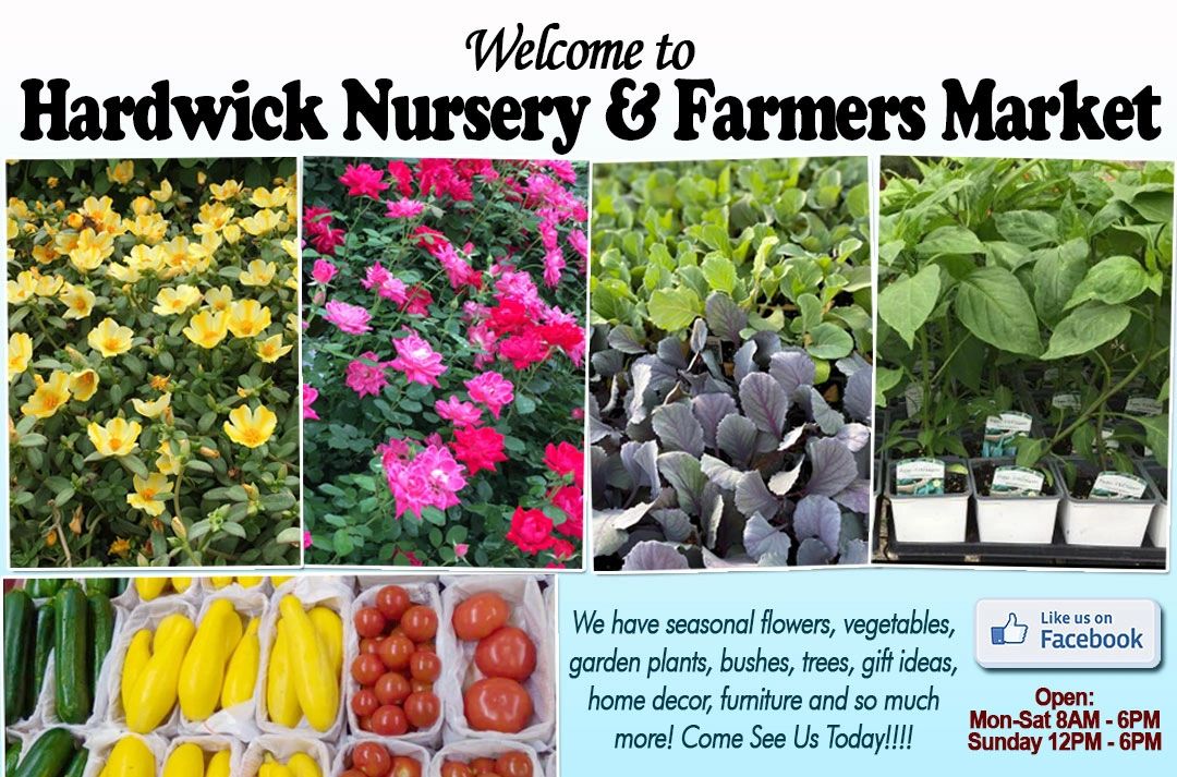 Hardwick’s Farmer’s Market Furniture Store, Nursery, Farmers Market