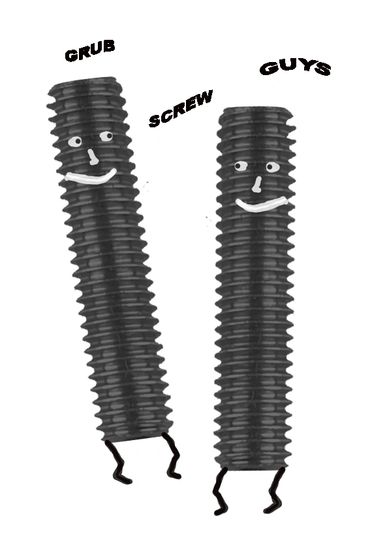 Grub Screws Hex Key Drive with Faces