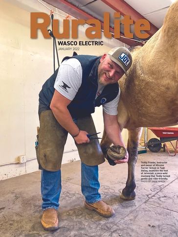 Teddy Franke holding a left front foot of a horse in one hand, wing dividers in the other. 