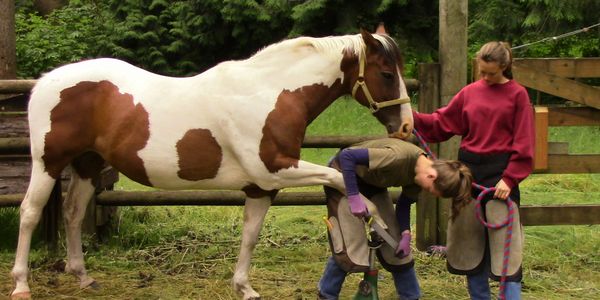 Two Farrier Students concentrating on the horses hoof that is on a hoof stand outside. 