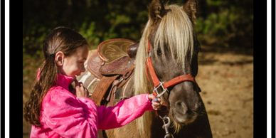 12+ Birthday With Horses