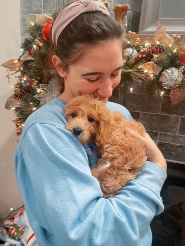 A woman lovingly hugs a small fluffy dog by a festive holiday wreath.