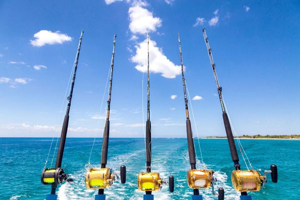 Reel & Catch Nicaragua fishing charters, fishing poles, Fishing in San Juan Del Sur, San Juan Del Su