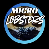 MicroLobsters