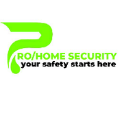Pro home security 
