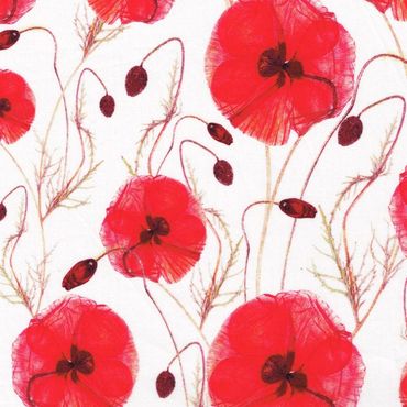 Hannahs Poppy