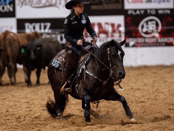 NRCHA Open Derby cutting