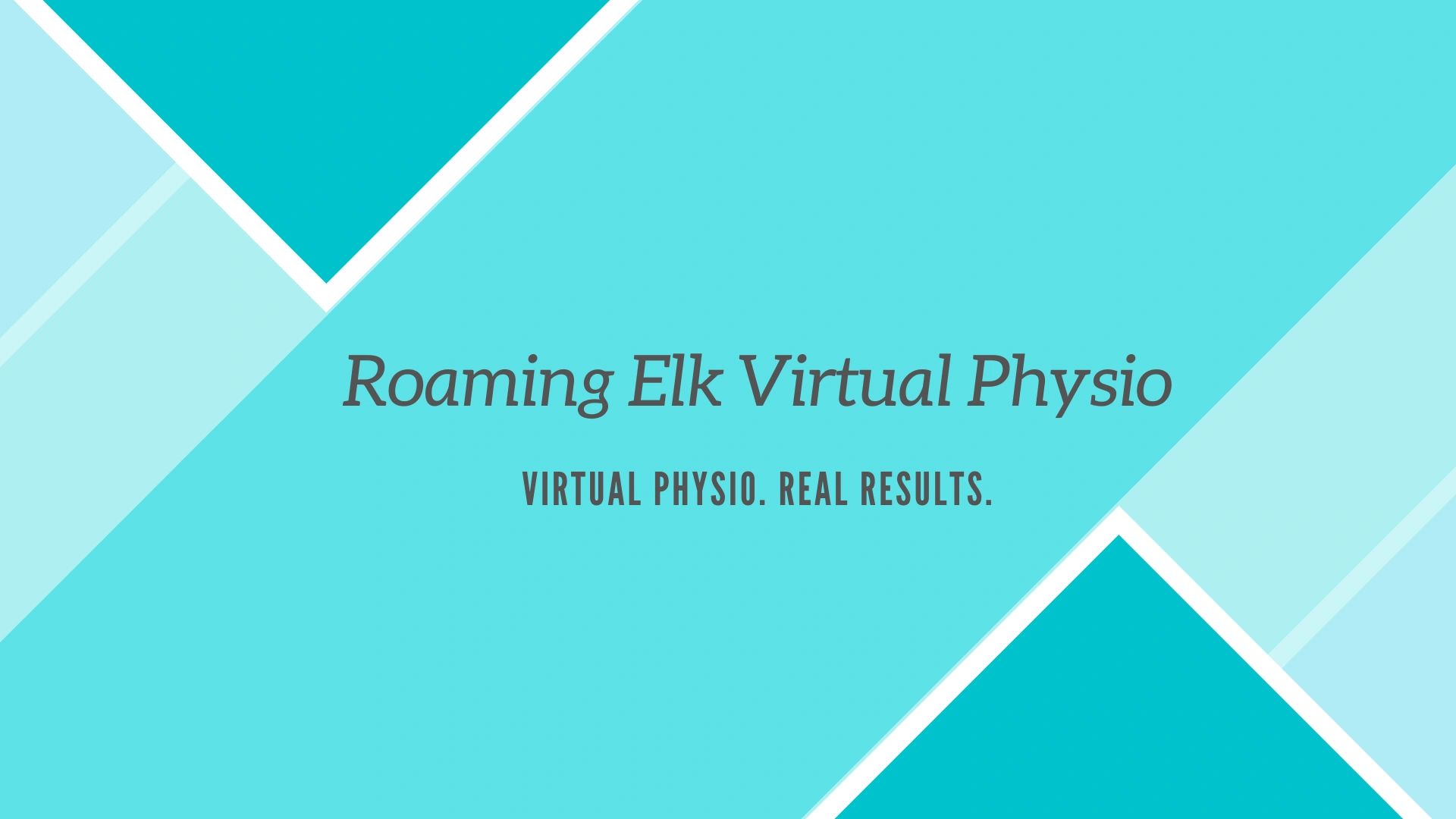 Roaming Elk Physio; virtual physio; telehealth; telerehabilitation; physiotherapy; physical therapy