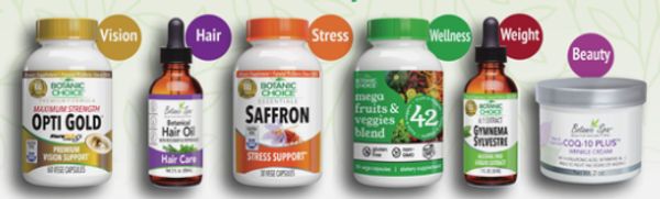 Wellness Journey Starts Here