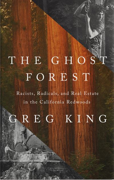 The Ghost Forest cover