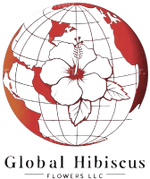 GLOBALHIBISCUSFLOWERS.COM