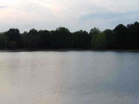 Stay A While RV Park RV park in Murchison, TX (photo 2)