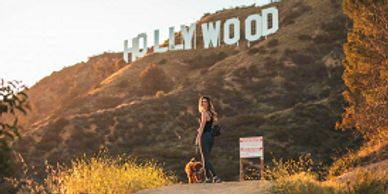 Hollywood Sign hike tour with transportation from your hotel